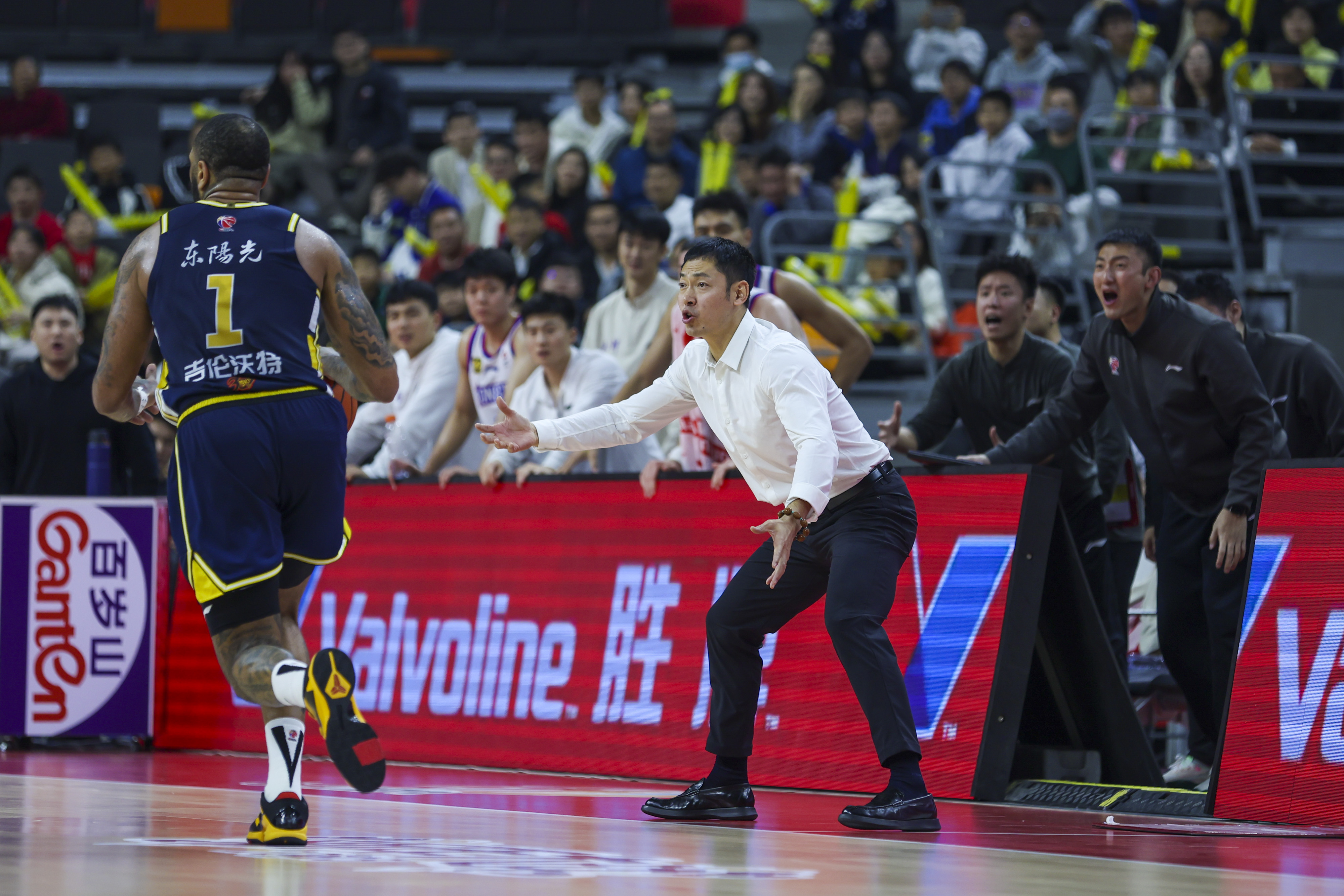 冲刺阶段深圳男篮备战法国杯,调整名单细节曝光,赛场秩序良好,临场指挥获称赞的简单介绍 冲刺阶段深圳男篮备战法国杯,调整名单细节曝光,赛场秩序良好,临场指挥获称赞的简单介绍