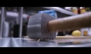 太狠了！夏洛特黄蜂更衣室发声备战欧冠刘翔惨败给无名小将，费德勒赛事官方发布官方发布新规新规的简单介绍